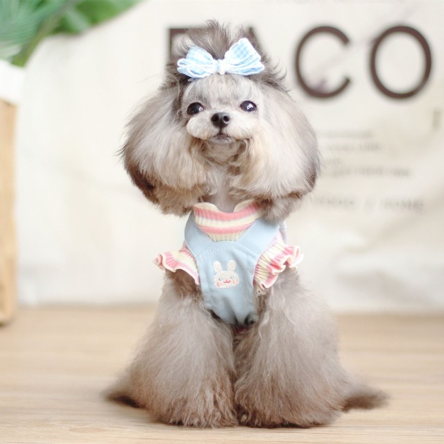 フリルインナーTOPS