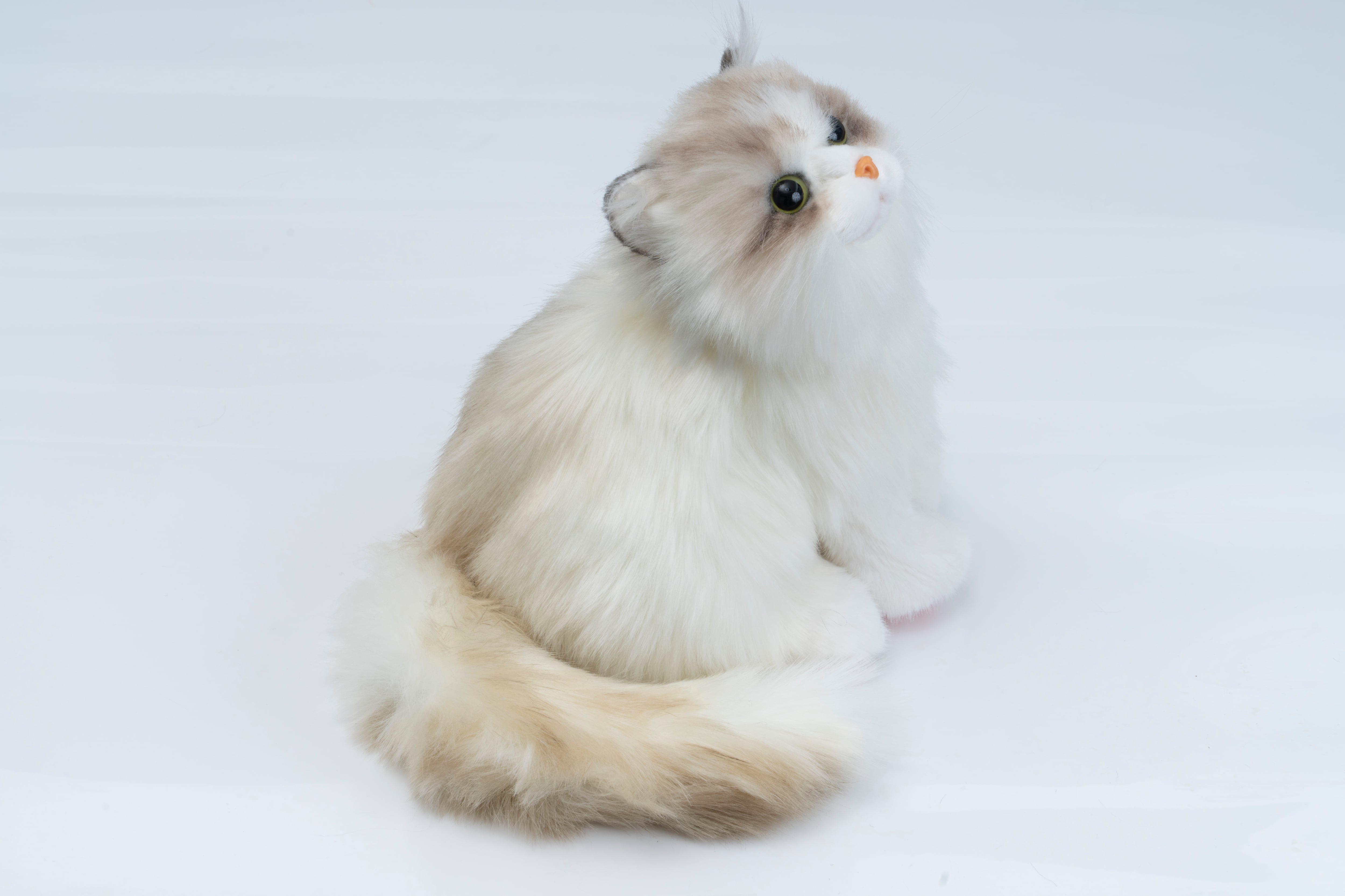なでなでねこちゃん子猫ちゃん ラグドール | トレンドマスター