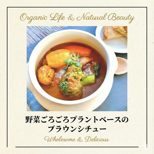 【リニューアル新発売】【セット割】こってり、まろやか　プラントベースのブラウンシチュー （1食分180g）＜植物性原料や隠し味に味噌・醤油を使用しました＞◎調味料（アミノ酸）・香料・着色料不使用　◎プラントベース　◎乳製品不使用　◎発酵調味料使用　x10個（8%off）