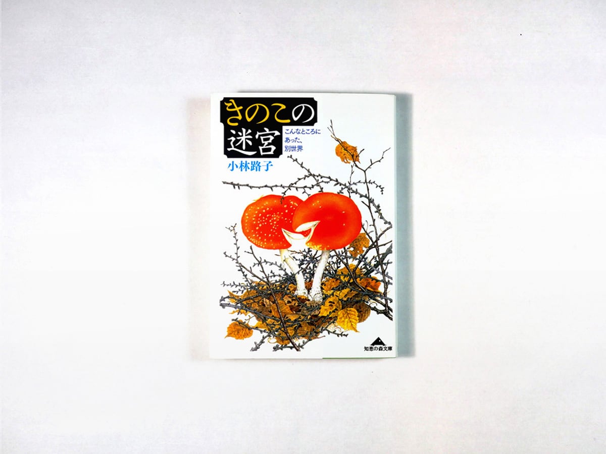 きのこの迷宮(小林路子 著)- 知恵の森文庫