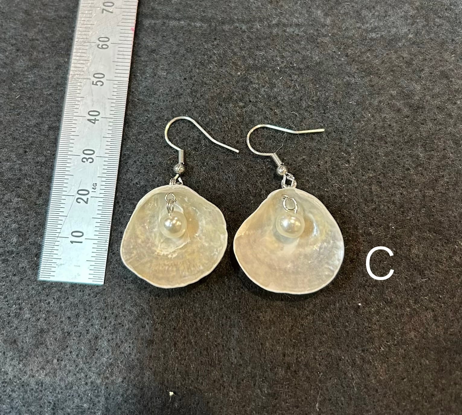 ナミマガシワのイアリング＆ピアス | 海の博物館ミュージアムショップ