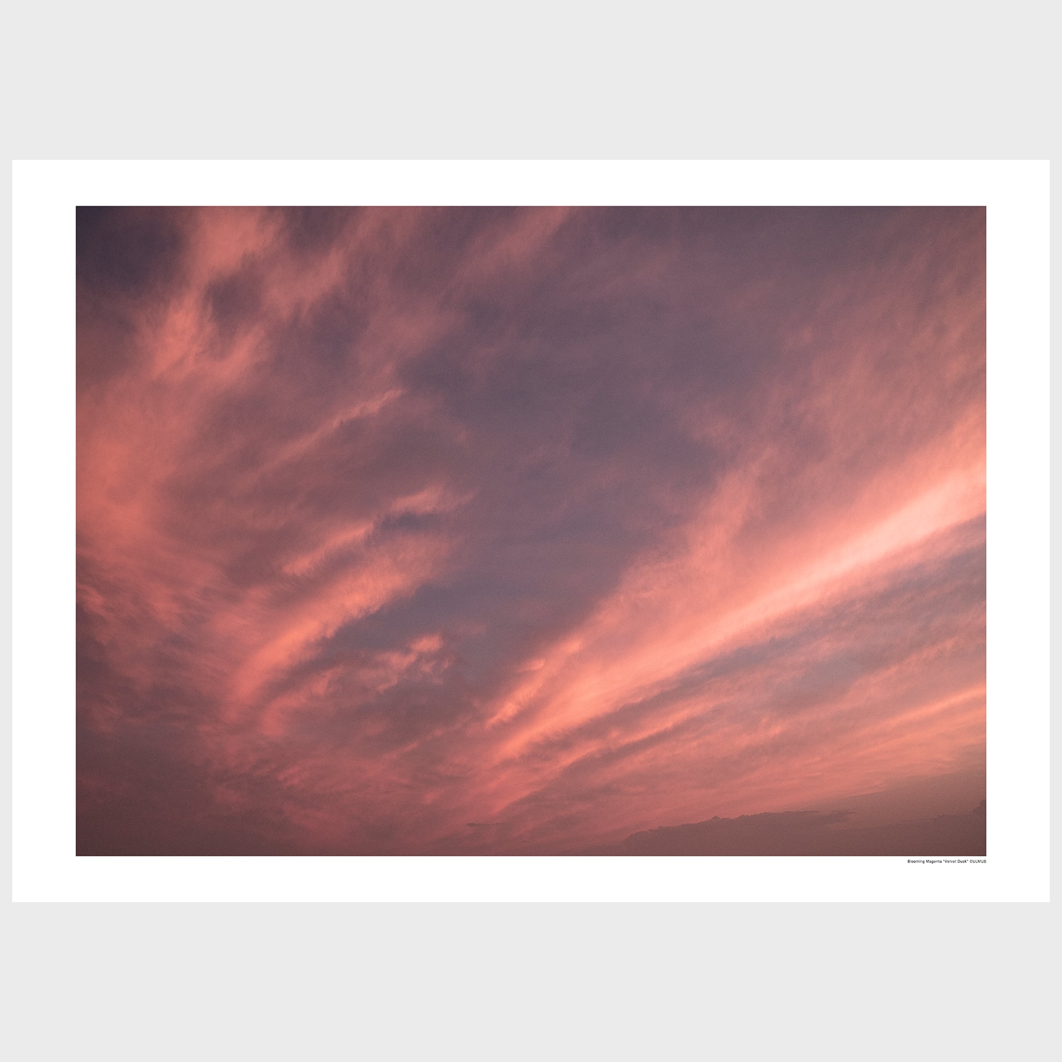 "Velvet Dusk" ベルベットの夕暮れ