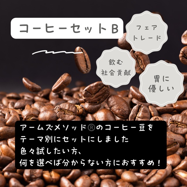 【セット販売】コーヒーセットB| 100g×3 |モカゲイシャと季節のブレンド入り