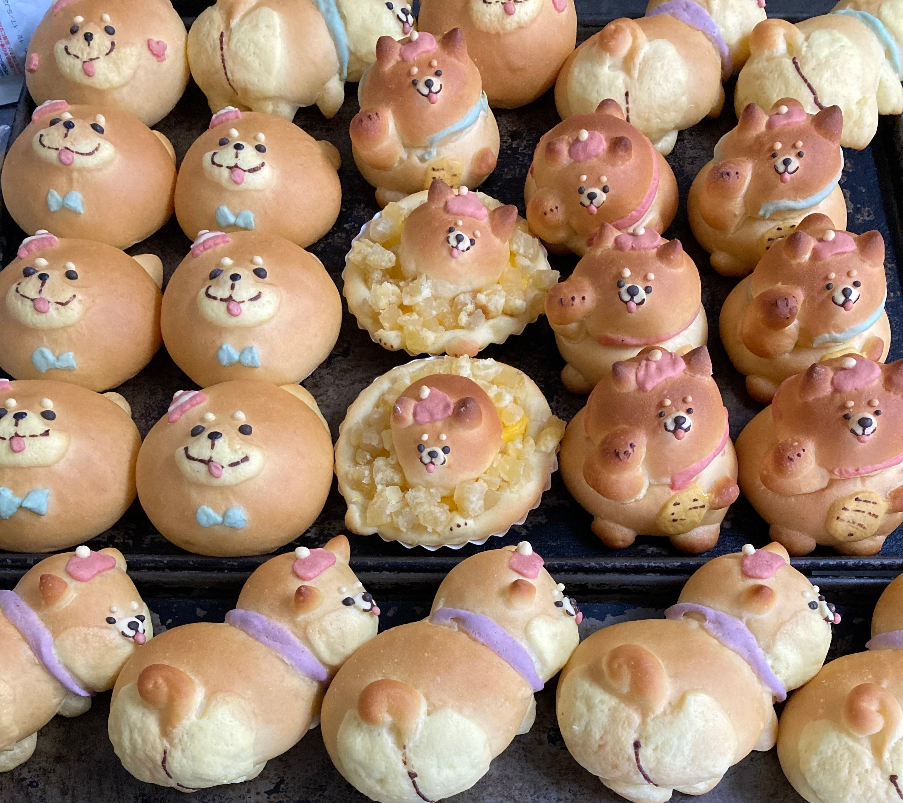 おまかせパンセット（柴犬バージョン） | パンと和菓子の店mochiri