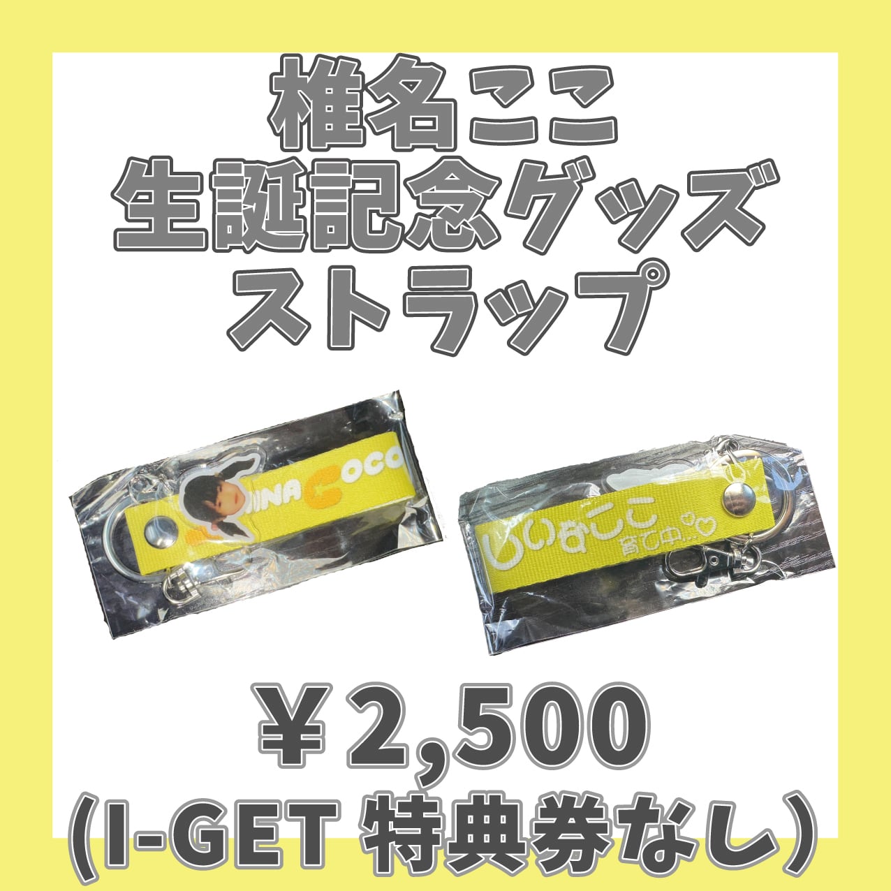 SAY-LA】LIVE DVD BOX「Stage Libraries」 | I-GETオンラインショップ