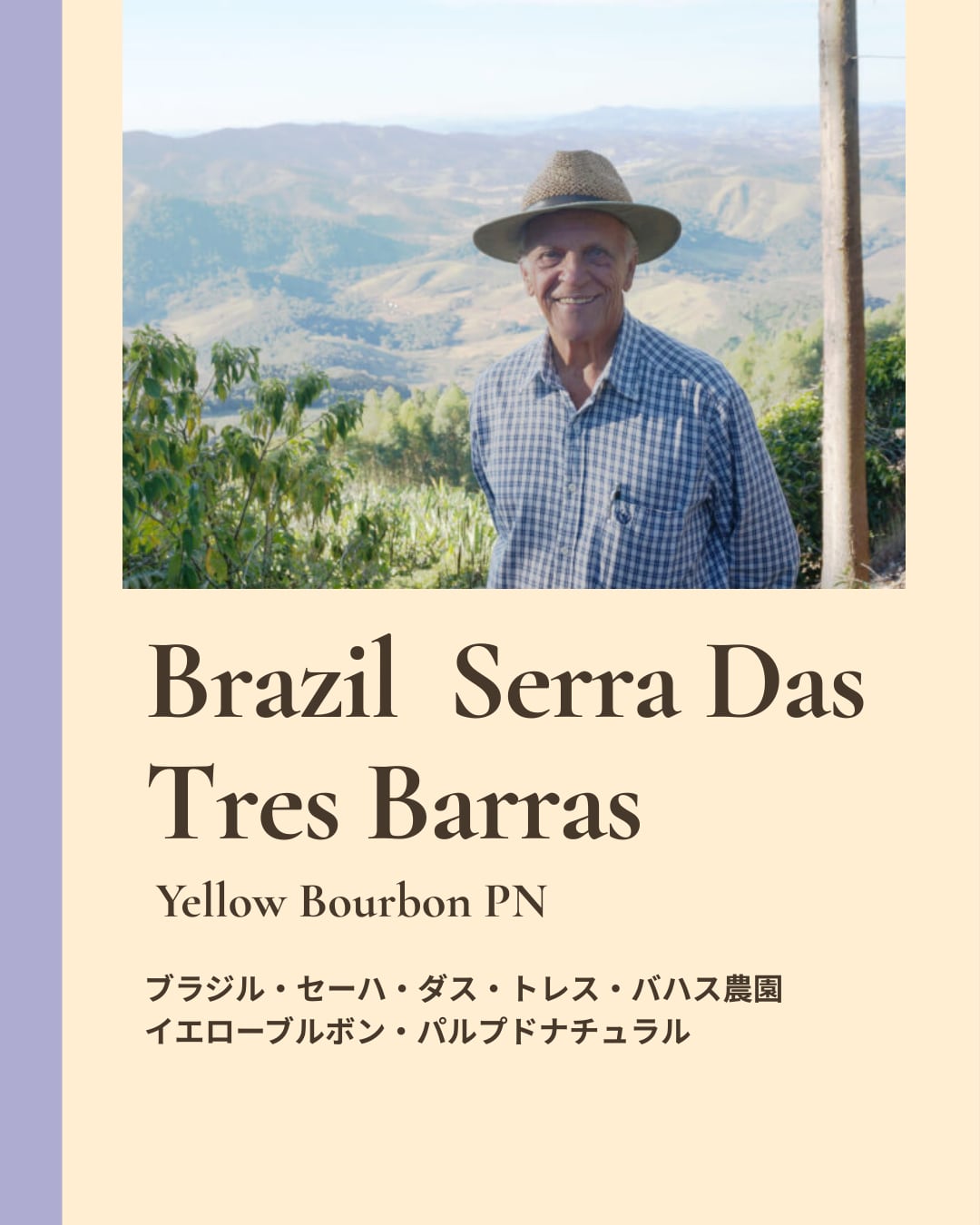 【L'ALLURE7周年限定】Brazil Serra das Tres Barras YB PN 150g