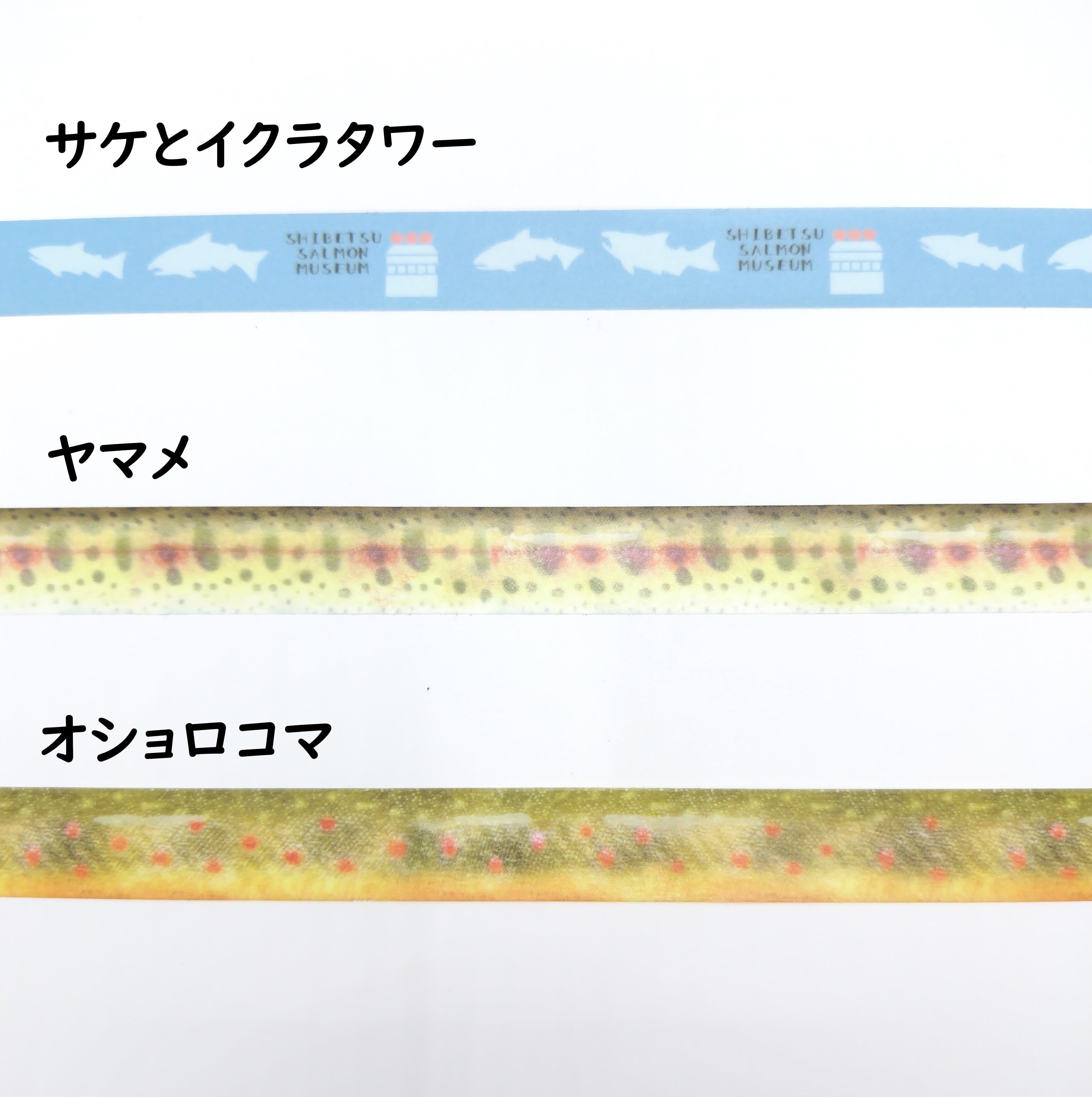 マスキングテープ【3柄】 | 標津サーモン科学館