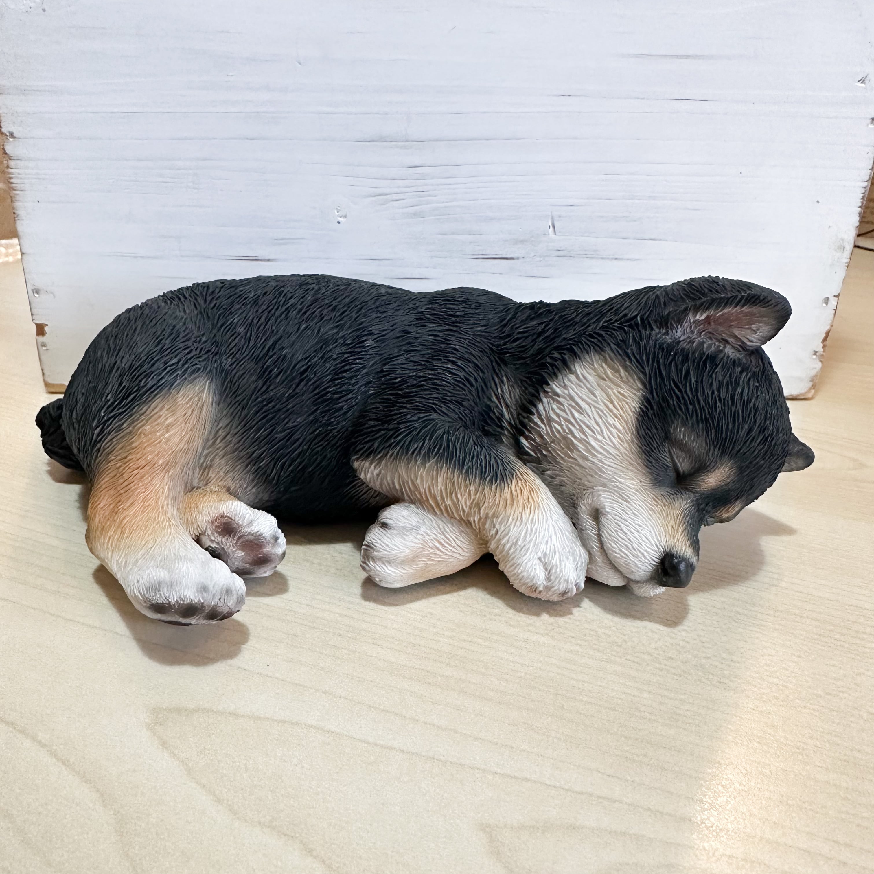 すやすや黒柴犬 | わんこ雑貨の店 スマイルズ