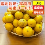 送料無料　湘南ゴールド（露地栽培・家庭用）　３ｋｇ