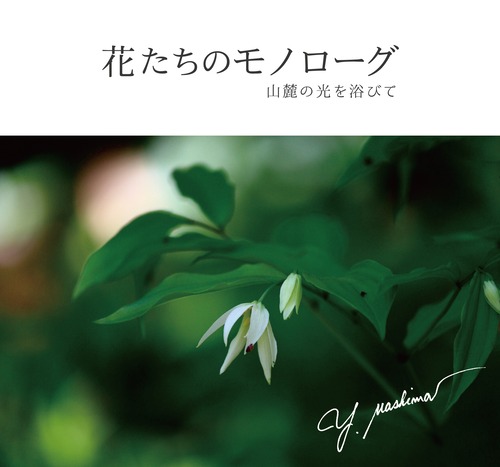 <2〜5冊>真島ゆかりフォトブック『花たちのモノローグ -山麓の光を浴びて-』