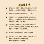 〈★期間・数量限定〉クリスマスチャーム