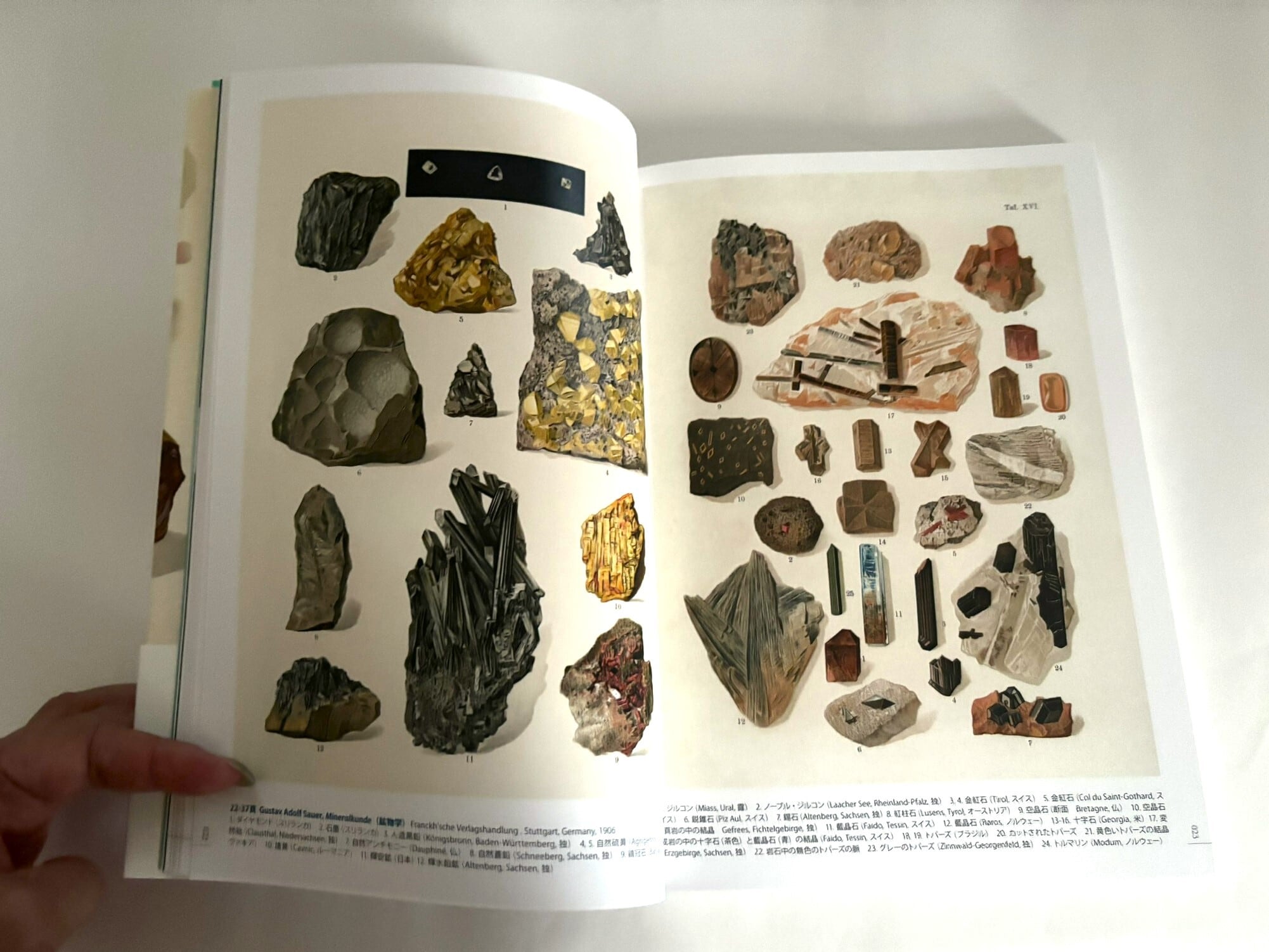 増補愛蔵版 美しいアンティーク鉱物画の本 | かざりすの森