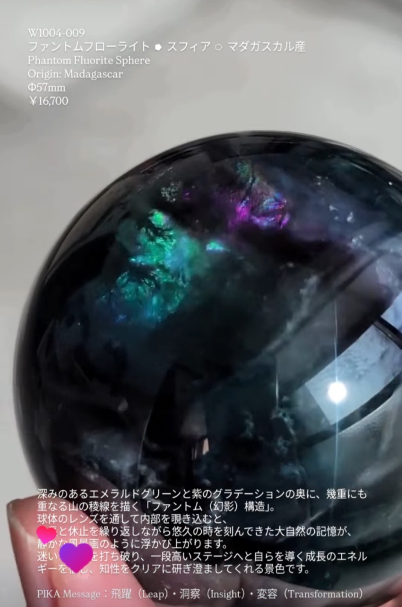 ⭔ お客様専用ページ ✦ chichica1456