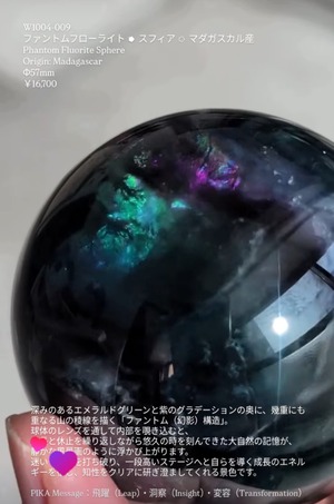 ⭔ お客様専用ページ ✦ chichica1456