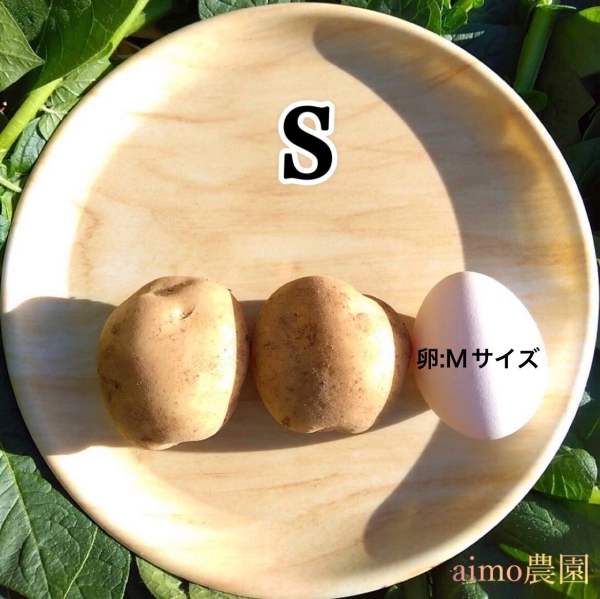 新じゃが 2S〜M 5kg｜箱別 | aimo農園