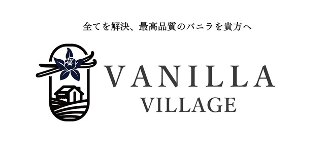 【本数多いほど1本価格がお得！】【ブルボン種・サイズだけ訳あり・ 12cm以上・バニラビーンズ・30本】