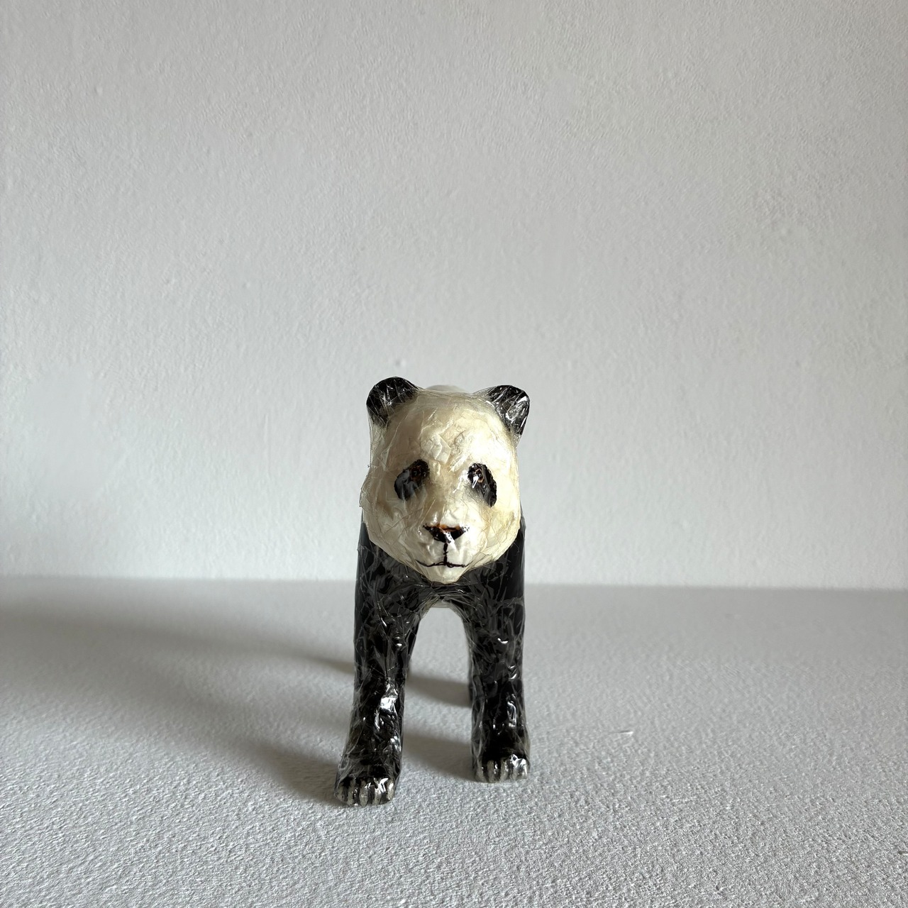 植田 楽さん／#31 ジャイアントパンダ