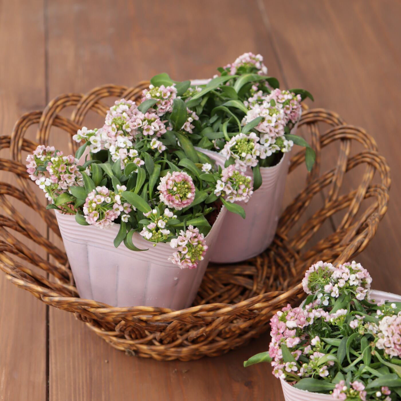 Green heartꕥオンラインショップ