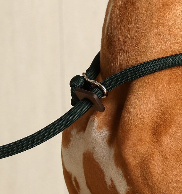 Lサイズ」スリップリード首輪一体型リード【HOZI】 | PAY ID