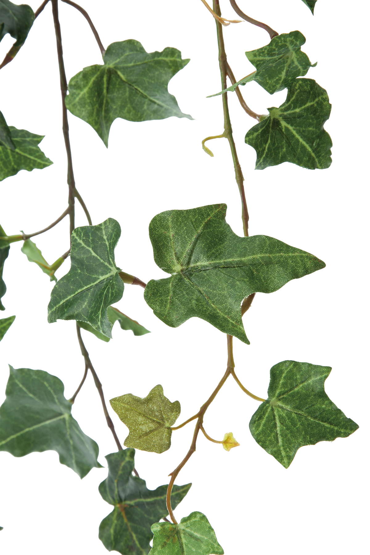 アイビーハンギングブッシュ　　GL-5230GR　4961823697265　造花（アーティフィシャルフラワー） > 定番造花グリーン（素材）