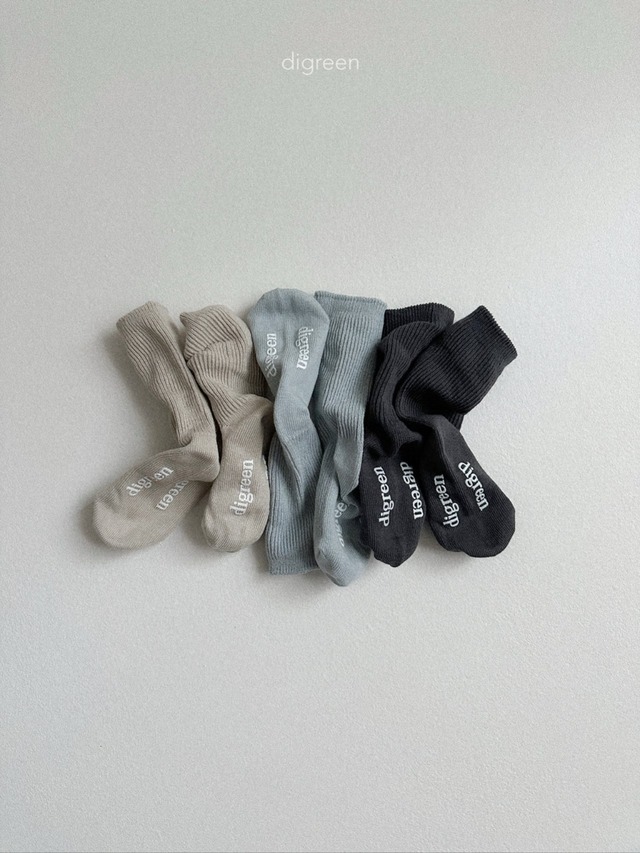 digreen26su_Gray Socks