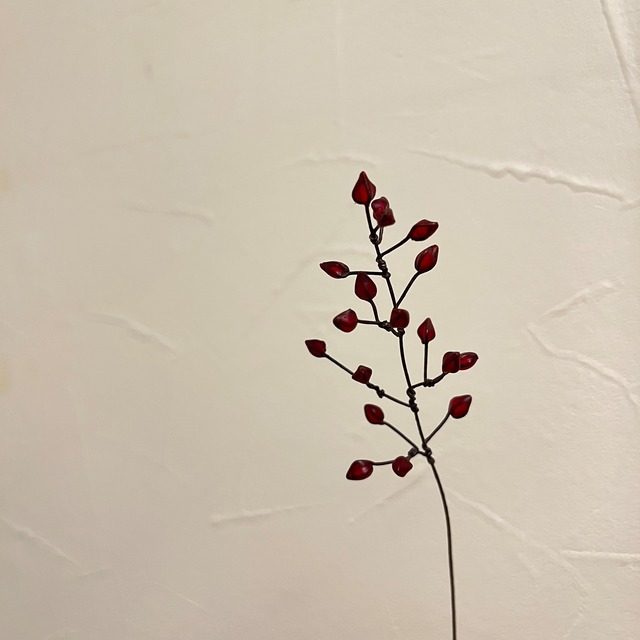 atelier karin 野ばらの実