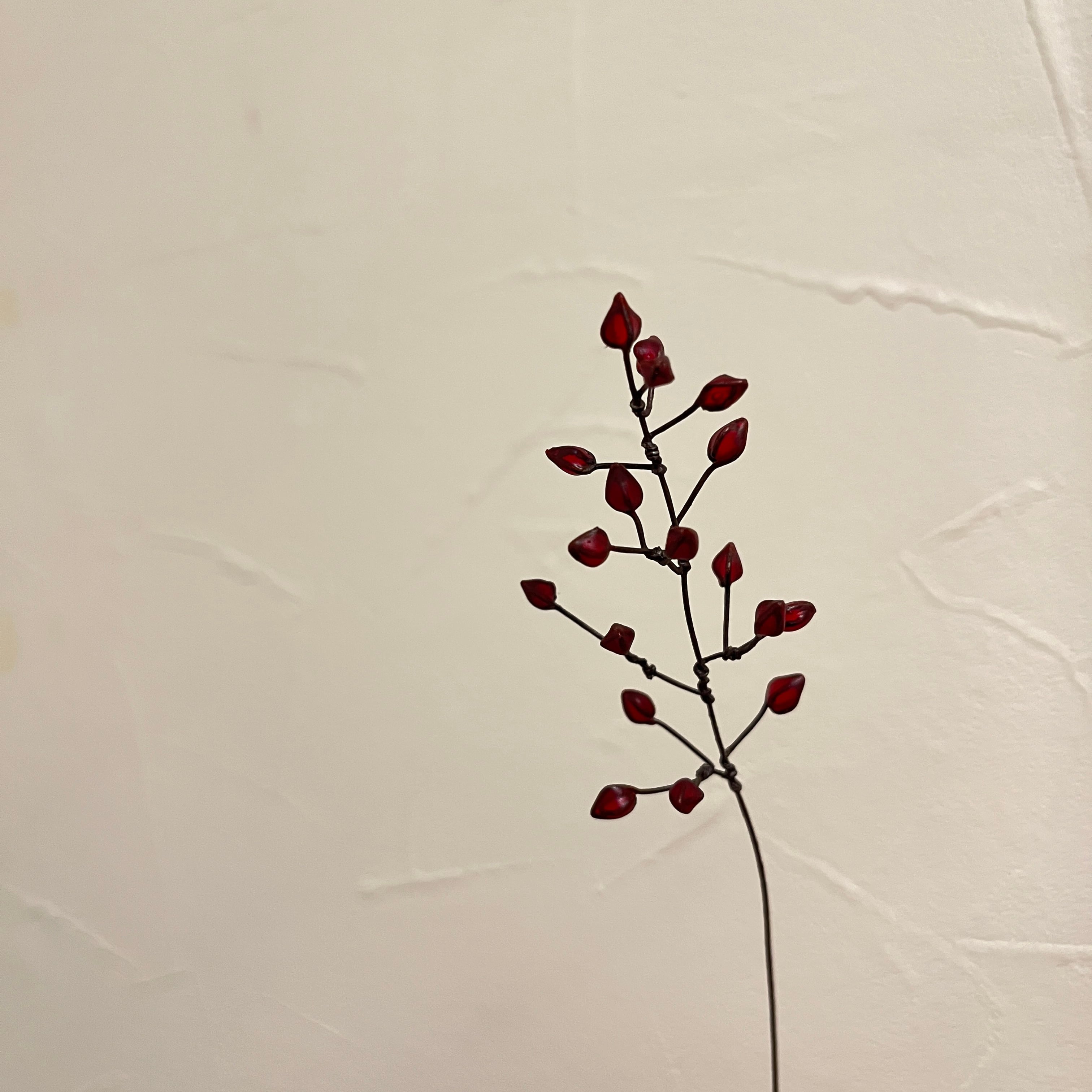 atelier karin 野ばらの実