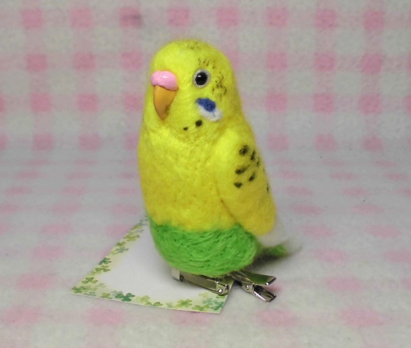 【受注作成品】 セキセイインコ イエローハルクイン miniリアル　☆選べる2タイプ☆ クリップ付ブローチorマグネット 羊毛フェルト  (鼻の色選択可能） | 工房　小鳥屋さん powered by BASE