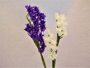 越前和紙で手作り花のキット【初級編】_スターチス