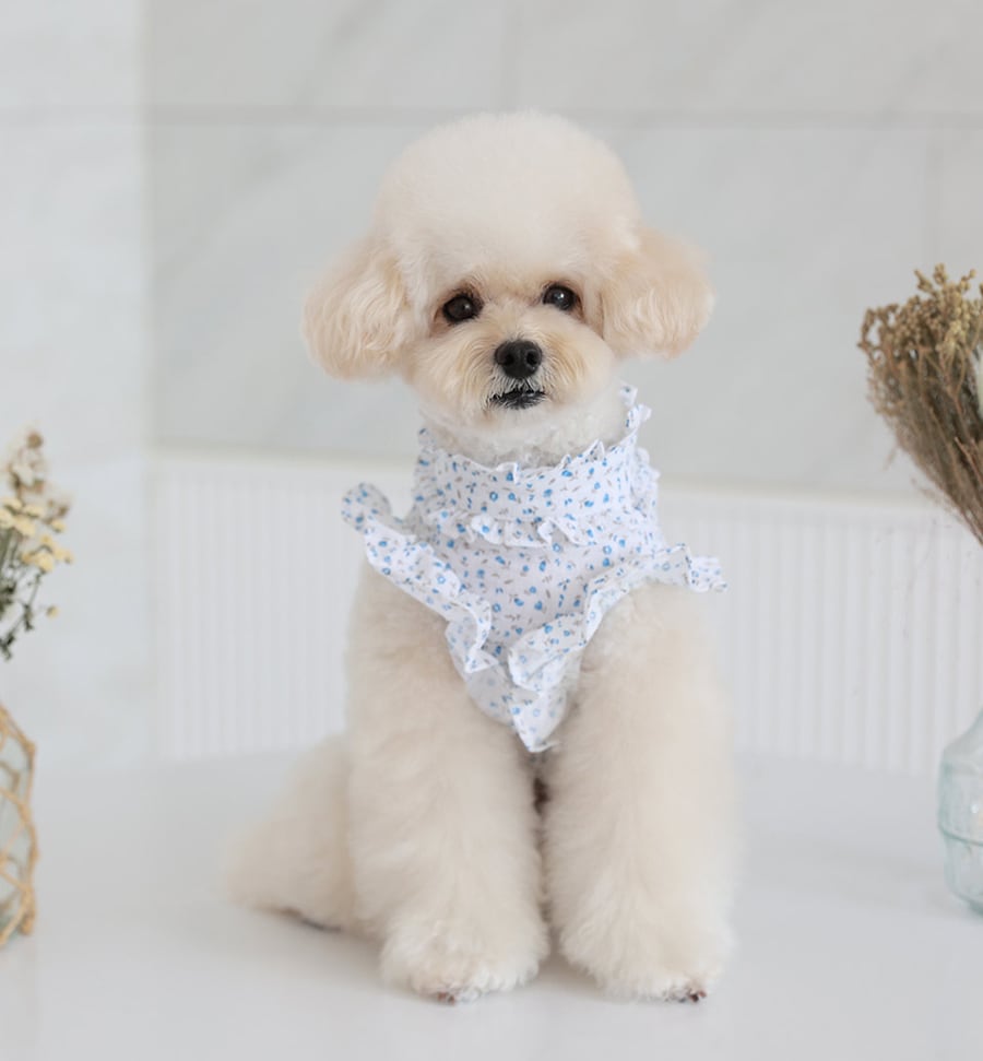 luv flower frill blouses S ~ XL 2color / ドッグウェア 犬服 フリル袖 ブラウス 袖なし 可愛い 犬の服 春夏 新作 花柄 シャツ おしゃれ top160
