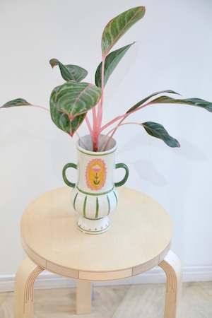 【希少】【M】アグラオネマ モンコンファイ　※【土不使用】