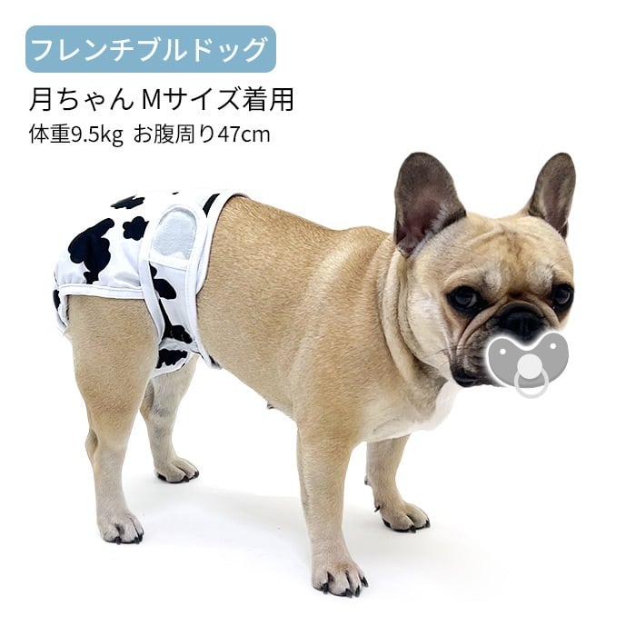 花柄【サイズ交換、返品対象外】新柄追加 マナーパンツ 犬 フレンチ