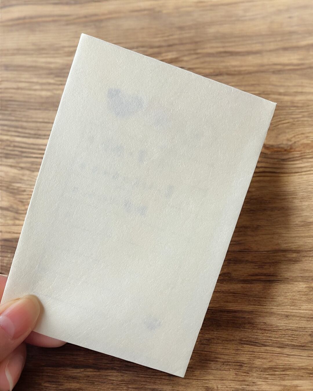 持ち歩けるレターセット　そえぶみ箋　いちごわんこ