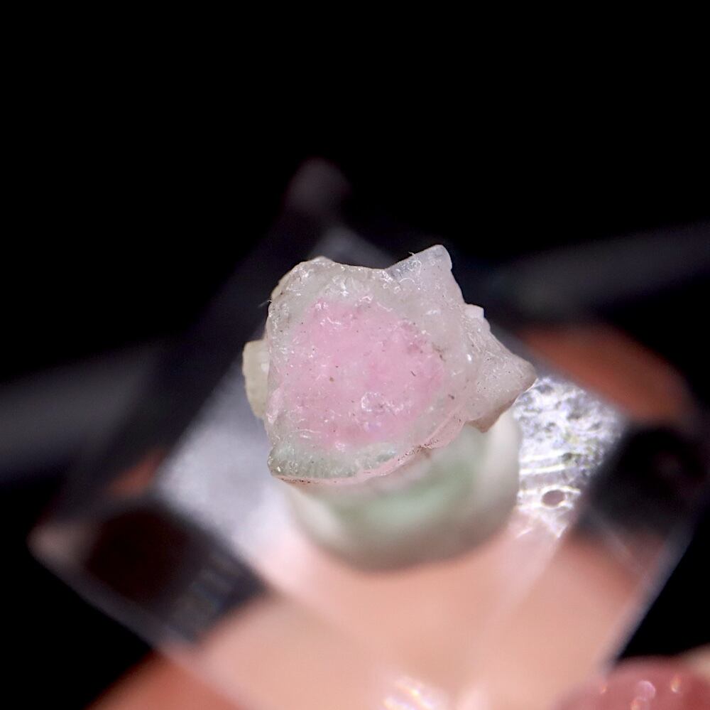 バイカラートルマリン 電気石 カリフォルニア産 1.2g T824 鉱物 天然石