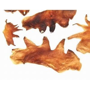 ビオリオーブ ビオサーモン 夏のごちそう モリンガ和え 限定 | fascination