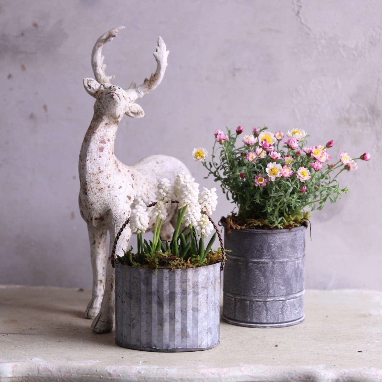 mondimanche　寄せ植え　ペーパーカスケードななこハング｜寄せ植え　届いてすぐ玄関に飾れる 　プレゼントにもオススメ　