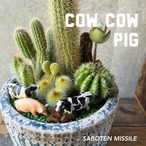 COW COW PIG