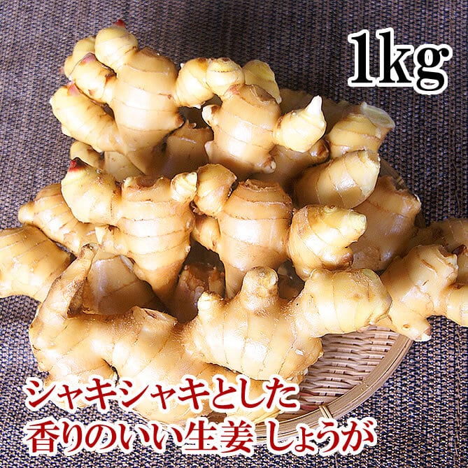 生姜 | 【公式】産地直送 もみじファーム -momiji-farm- ｜化学肥料