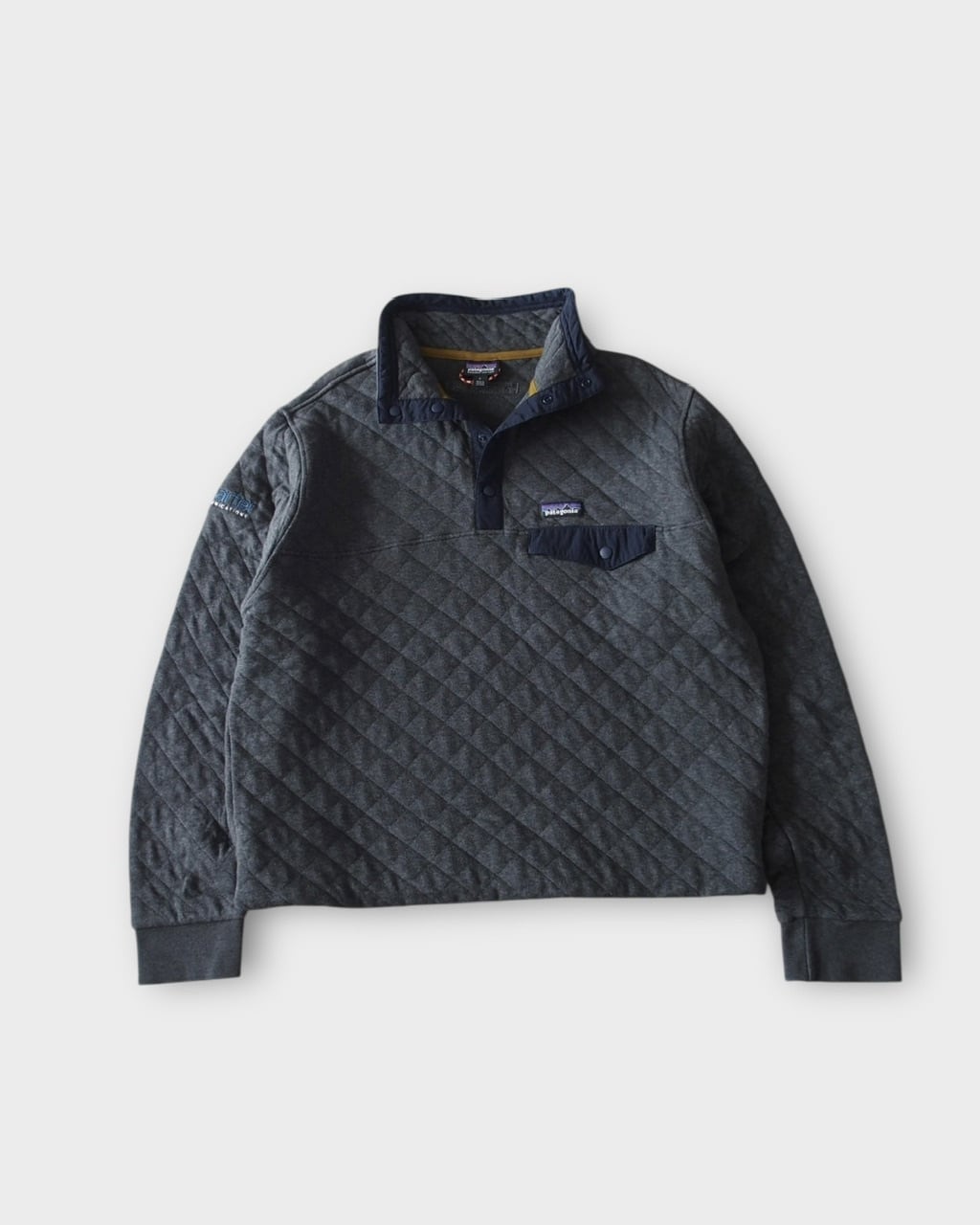 Patagonia Cotton Quilt Snap-T Pullover "Facebook"