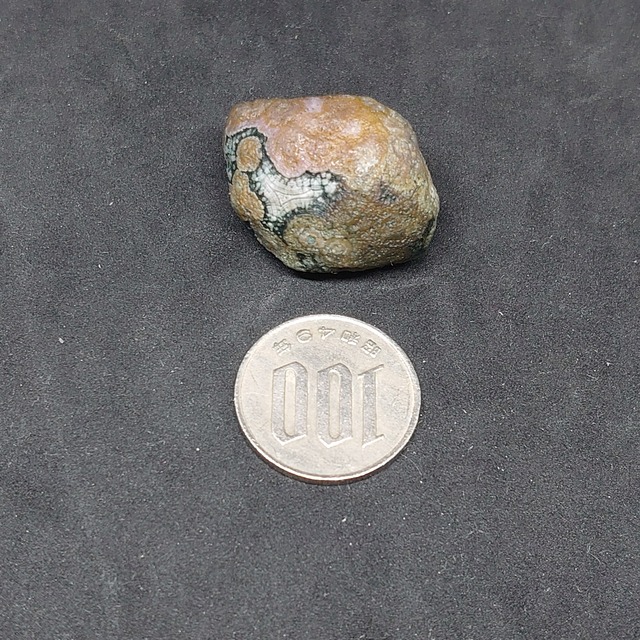 モンゴルゴビ瑪瑙 原石 金銭眼石母岩標本 置物 レア品 ゴビ瑪瑙 ゴビ石  