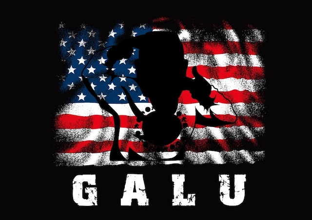 アメリカン我琉Tシャツ(ロンT)