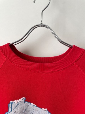 Wisconsin sweat shirt