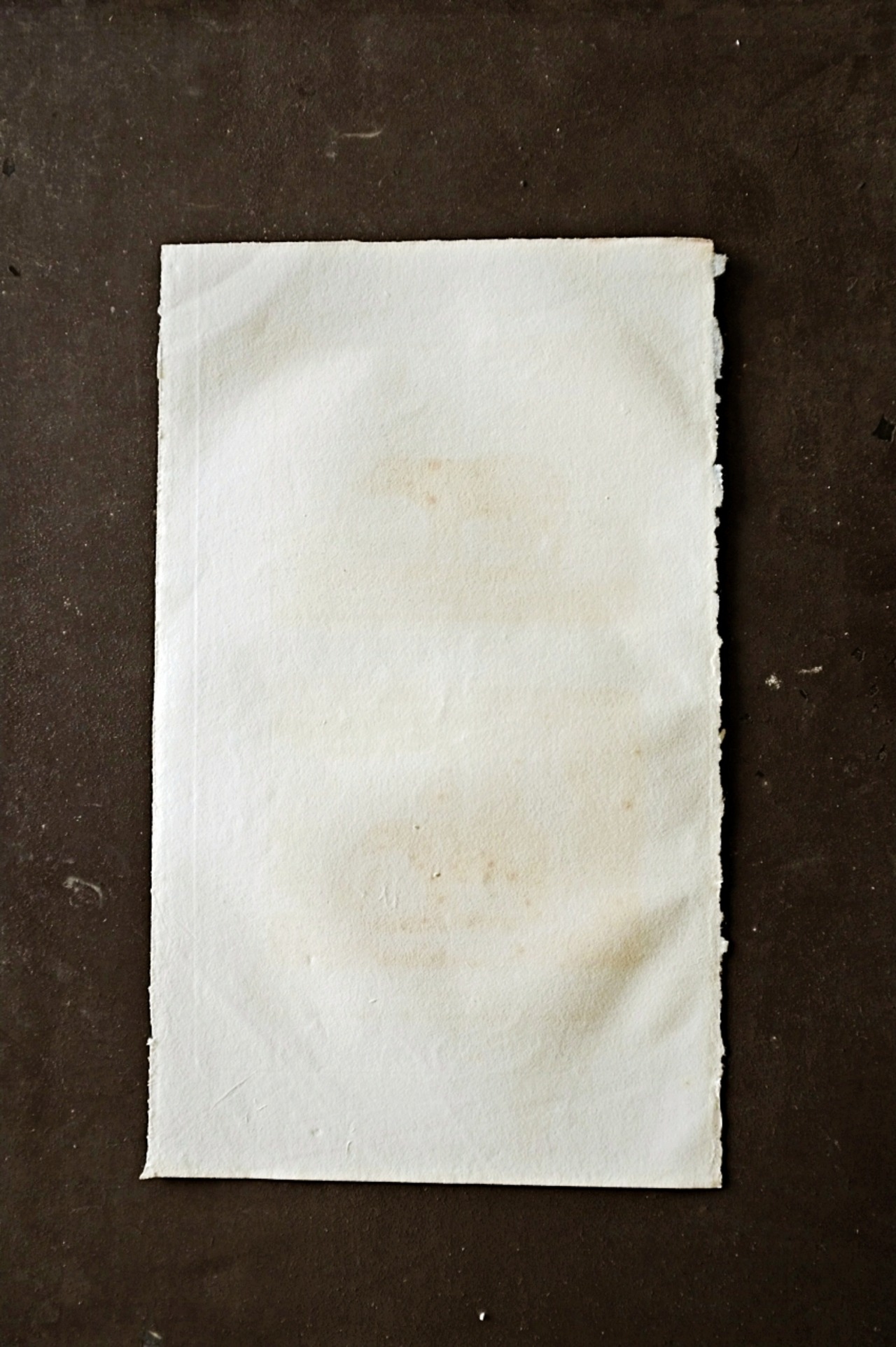 フランス BUFFON 1835s ビュフォン伯爵による動物たちの博物画  バルビサ バク アンティーク