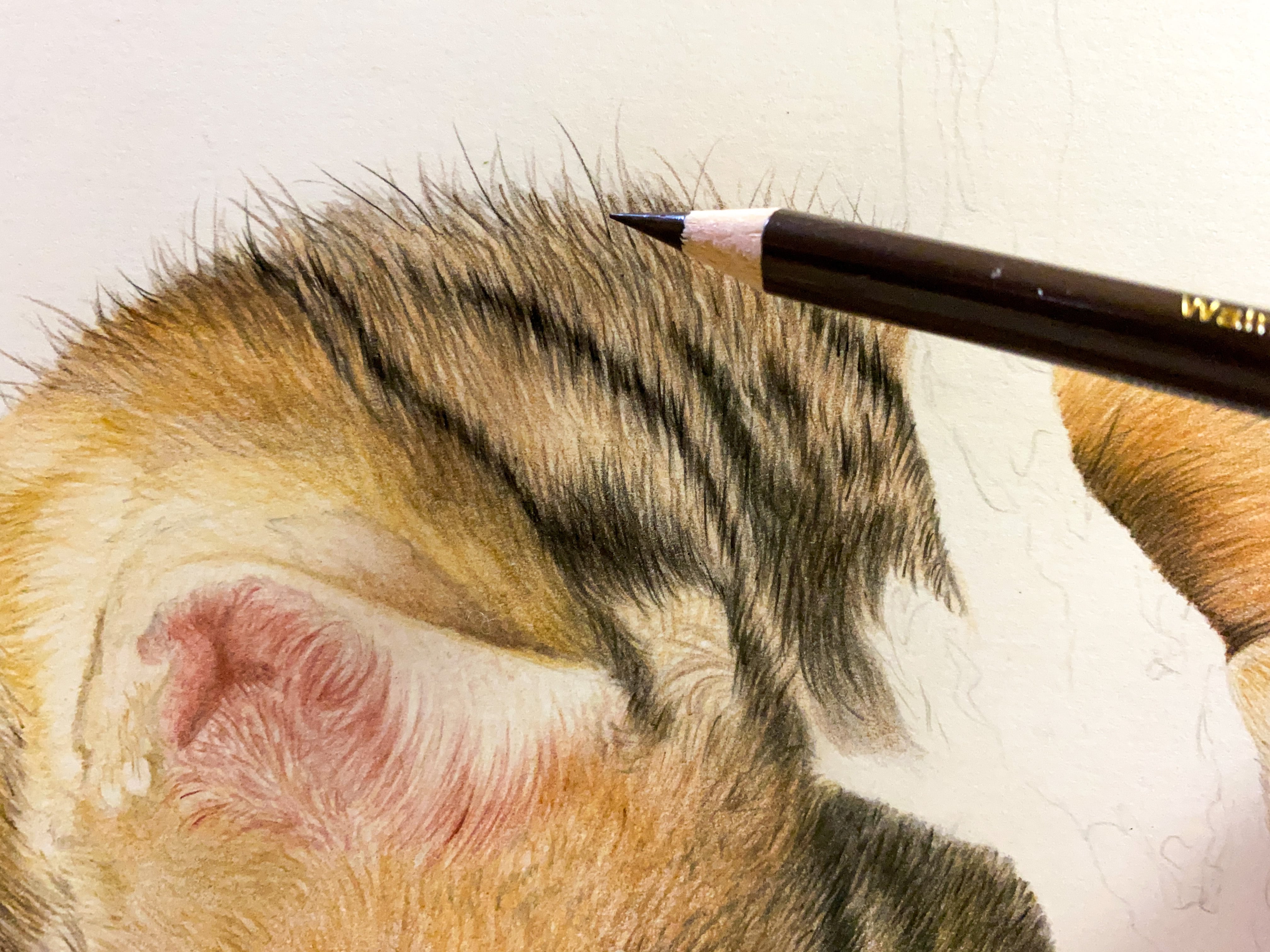 オーダー注文_A5サイズ