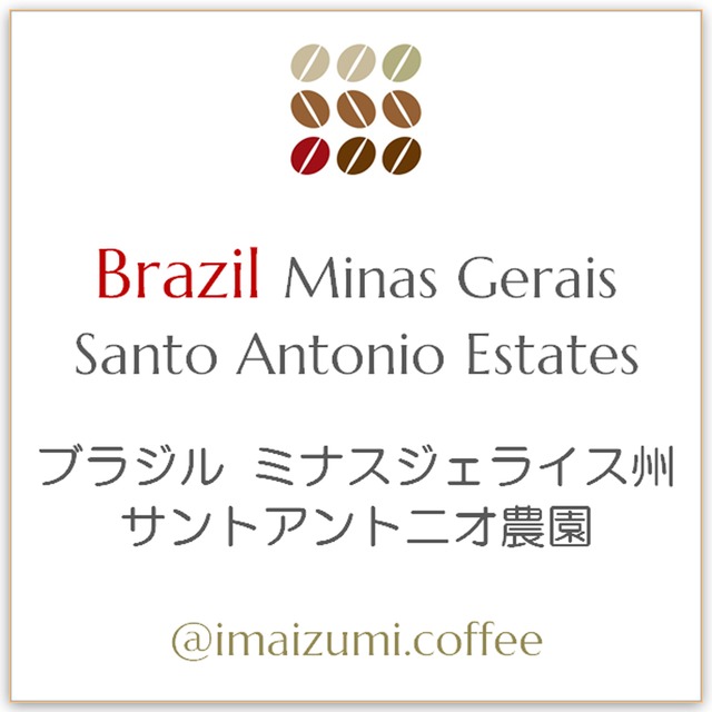 【送料込】ブラジル ミナスジェライス州 サントアントニオ農園 - Brazil Minas Gerais Santo Antonio Estates - 300g(100g×3)
