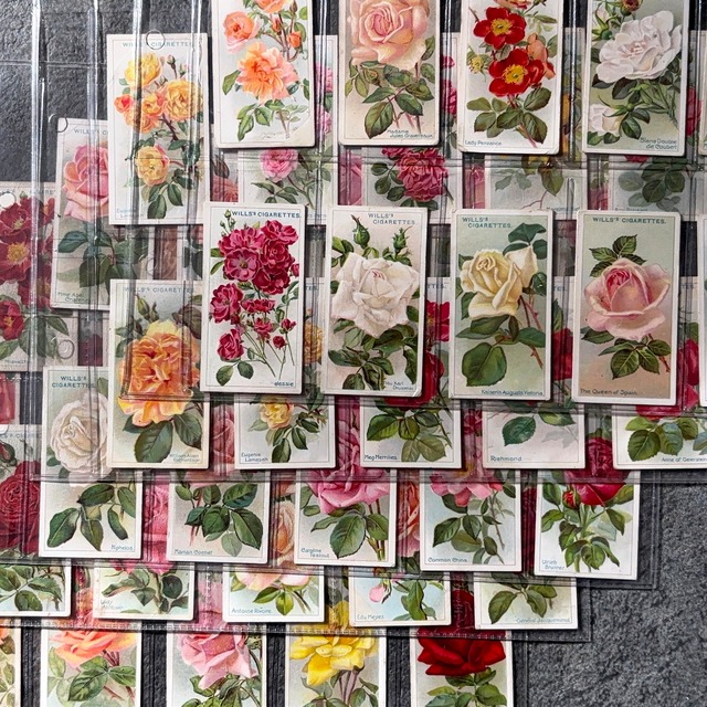 ✦-✦フルセット50枚 Wills社 薔薇･ローズ✦-✦ 英国 ヴィンテージ シガレットカード イギリス 2607001-13