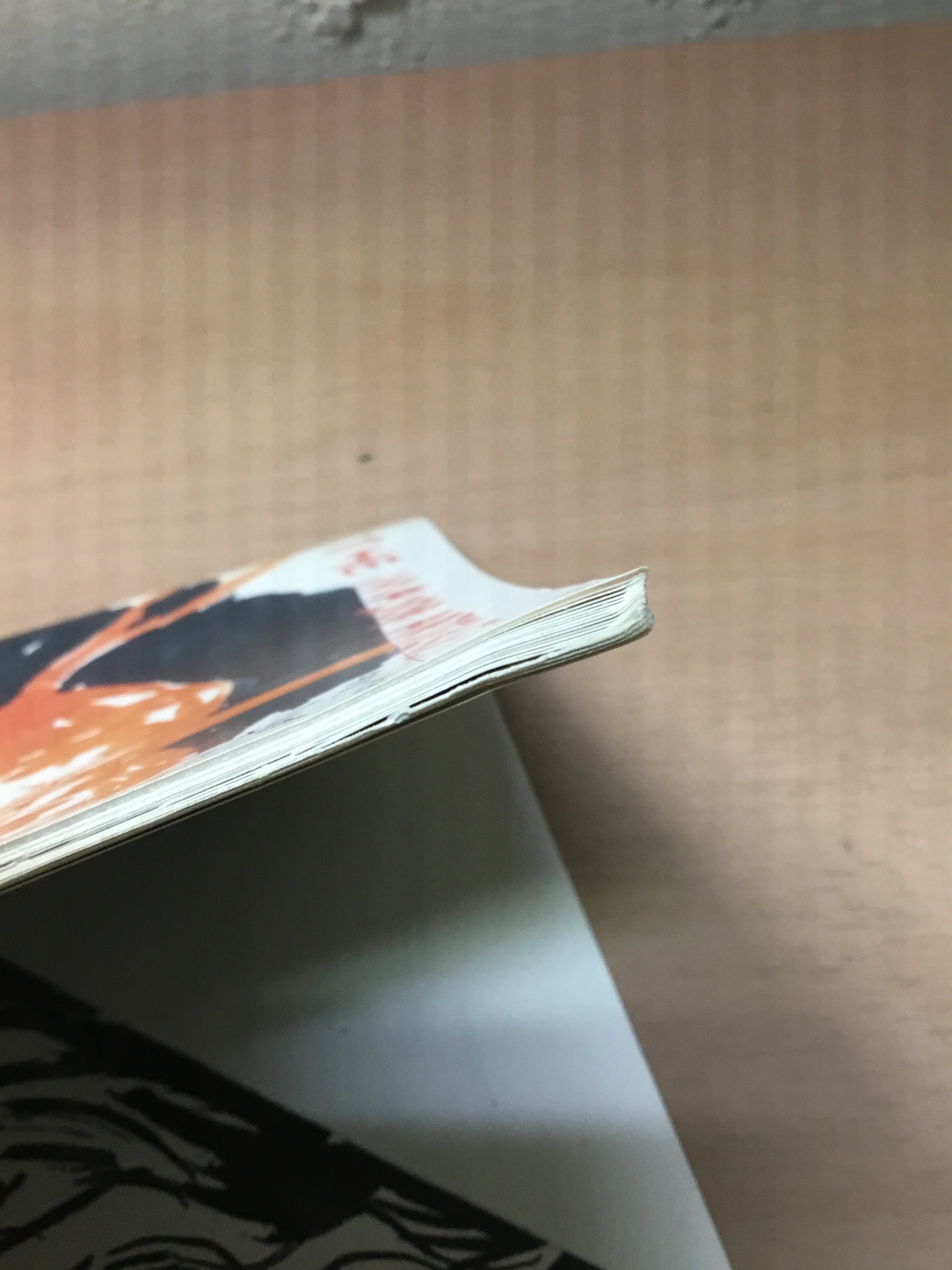 THE MAJOR ARTERIES / Raymond Pettibon ( レイモンド・ペティボン