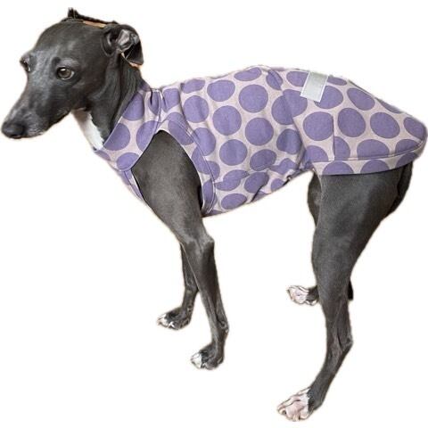 犬服 イタリアン グレーハウンド イタグレ服 帽子（裏ボアニット生地