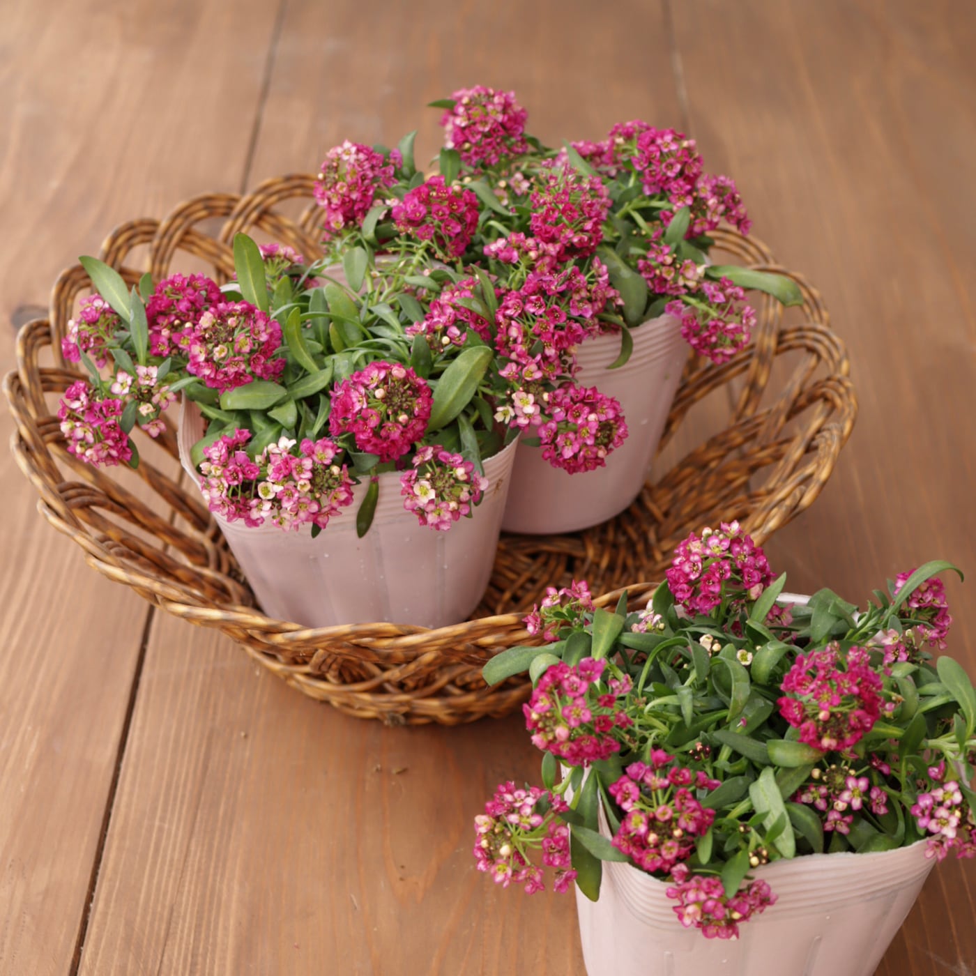 Green heartꕥオンラインショップ