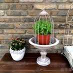 鳥かご ヴィンテージ オブジェ 置き物 フラワースタンド＜ヴィンテージグリーン＞植物棚 装飾 レトロカラー 装飾用金属 鳥かご  プレゼント ガーデニング